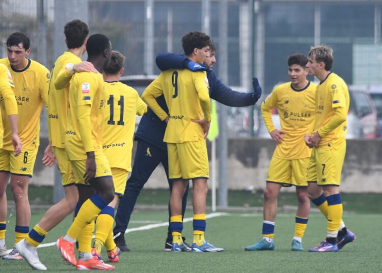 Foto Modena Fc