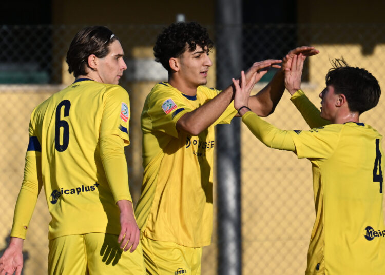 Foto Modena Fc