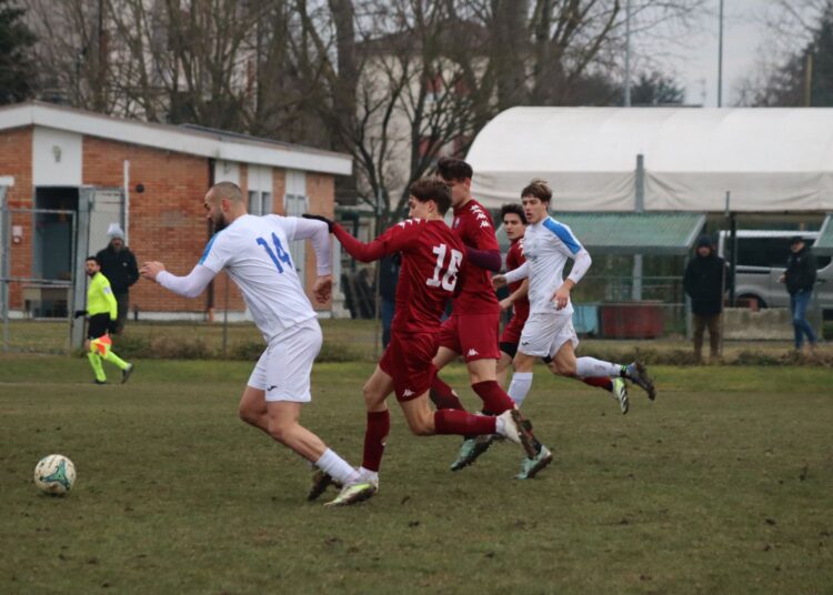 United Carpi-Castellarano