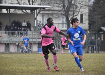 Campagnola-Castelnuovo