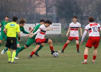 Riese-Ganaceto