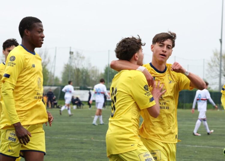 Foto Modena Fc