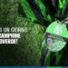 Foto Us Sassuolo Calcio