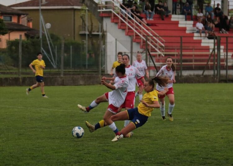 Foto Modena Fc