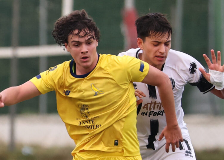 Foto Modena Fc