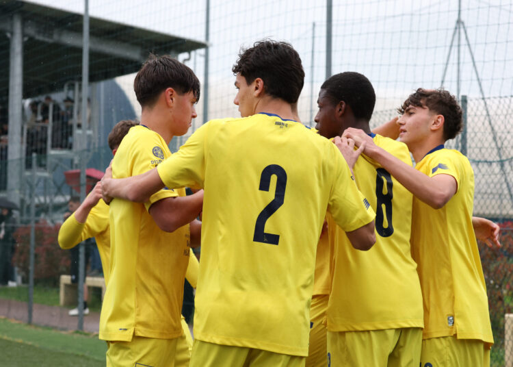 Foto Modena Fc