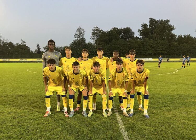 Foto Modena Fc