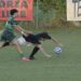 Riese-Sanmichelese