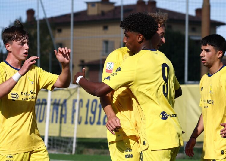 Foto Modena Fc