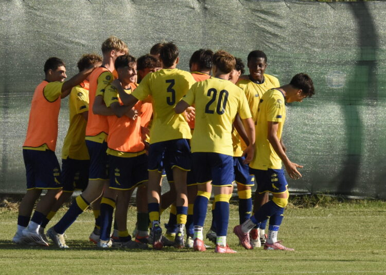 Foto Modena Fc