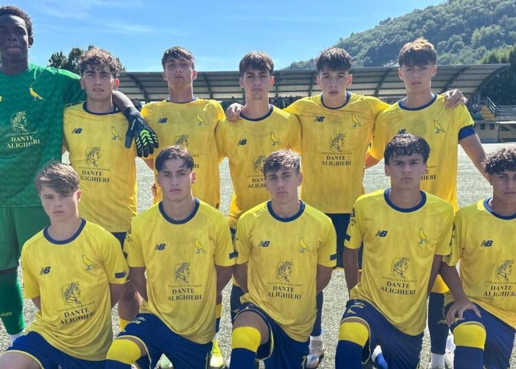 Foto Modena Fc