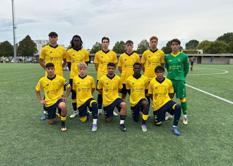 Foto Modena Fc