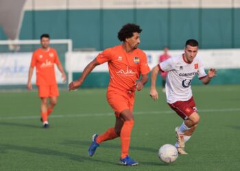 Foto: Vignoli