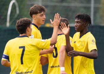 Foto Modena Fc