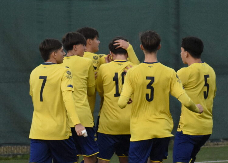 Foto Modena Fc