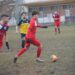 Guastalla-Modenese