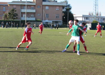 Corlo-Audax