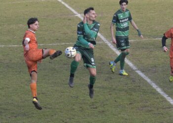 Notari in azione a Casalgrande