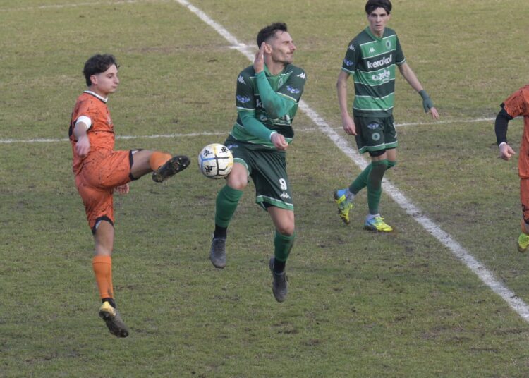 Notari in azione a Casalgrande