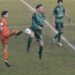 Notari in azione a Casalgrande