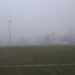 Alle 15.30 il campo di Montombraro si presentava quasi privo di nebbia ma la partita era già stata rinviata