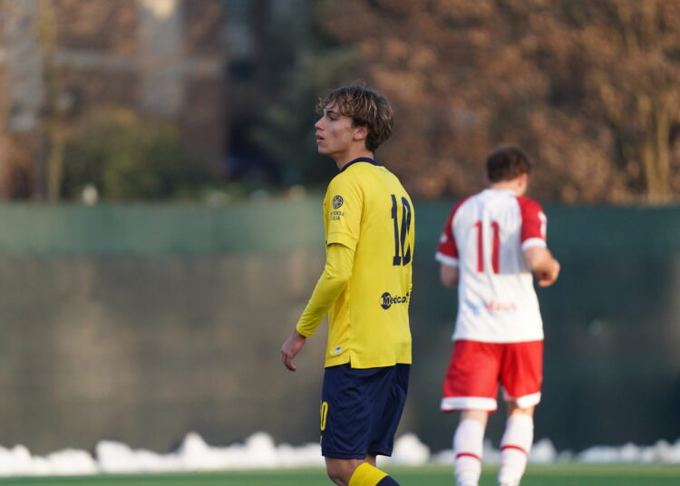 Foto Modena Fc