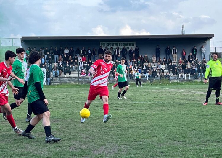 Cognentese-Sanfa