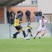 Rubierese-Modenese