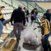 Foto: Juve Stabia nel Cuore